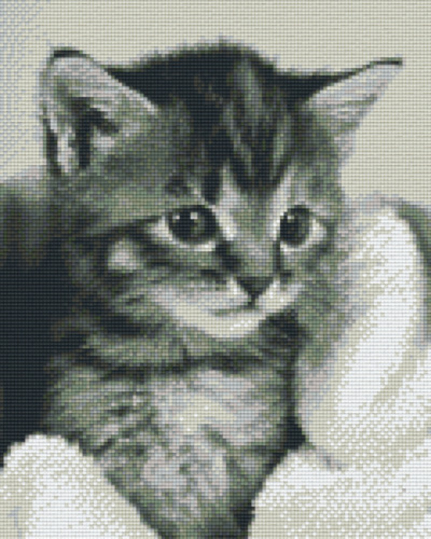 Kitten In White Blanket Nine [9] Baseplate PixelHobby Mini-mosaic Art Kit image 0